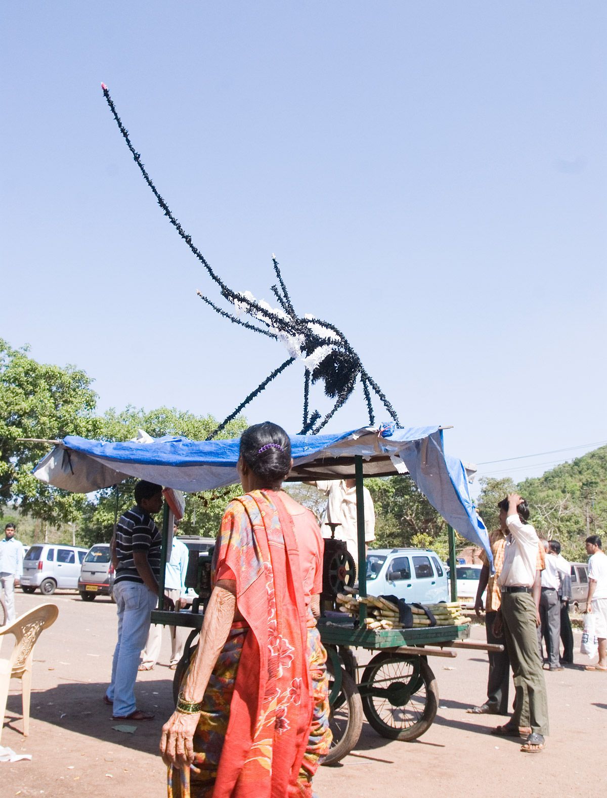 Bioism. Streets of India