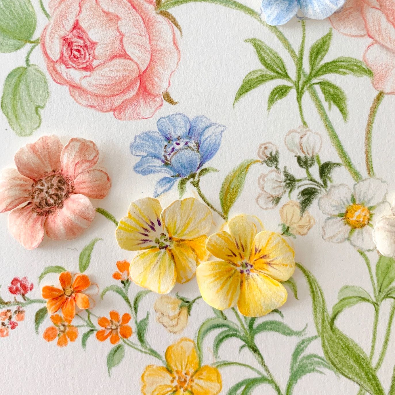 Colored pencil flowers drawing by Yeo Jin.